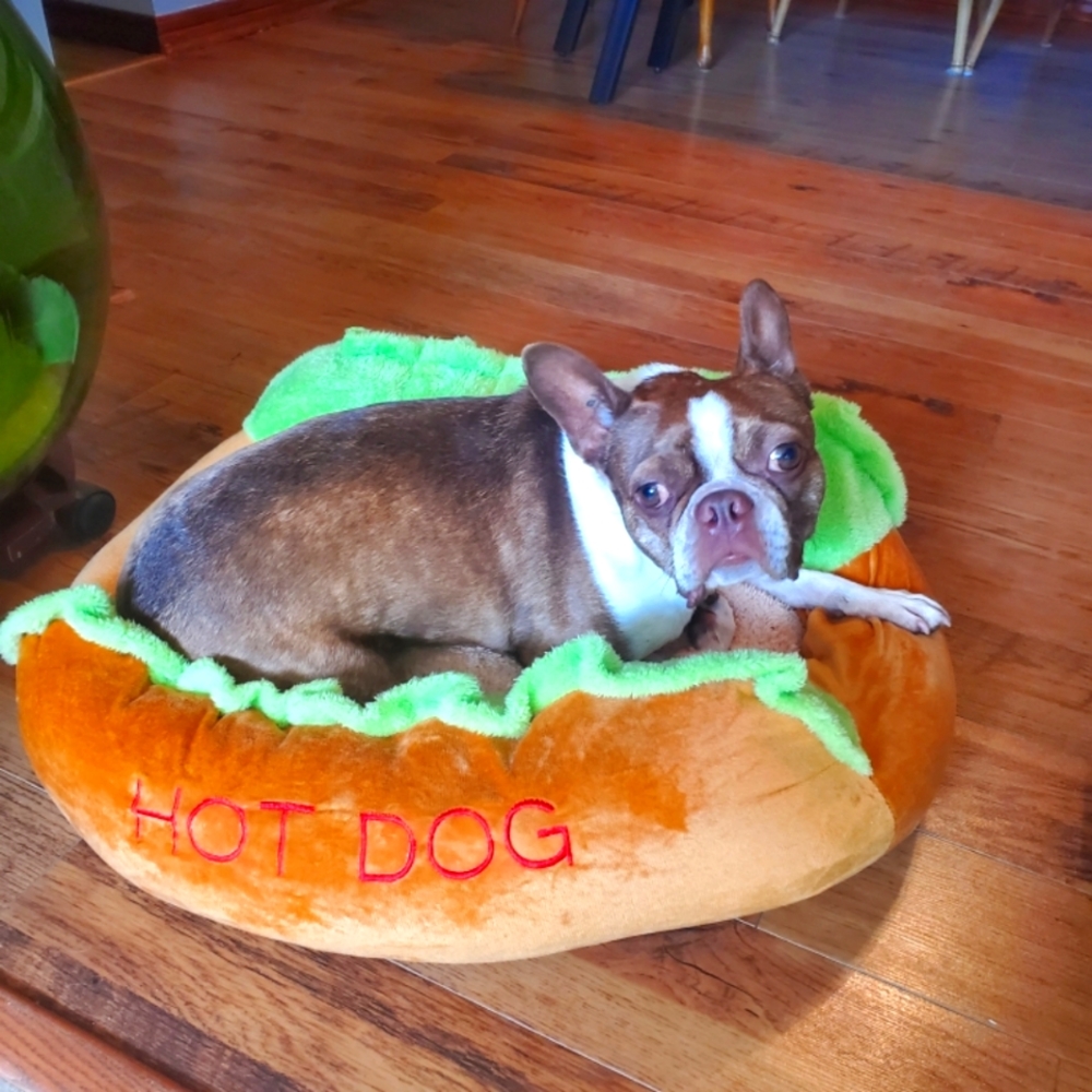 Meet your Posher, Drew & my assistant buyer"Pickle